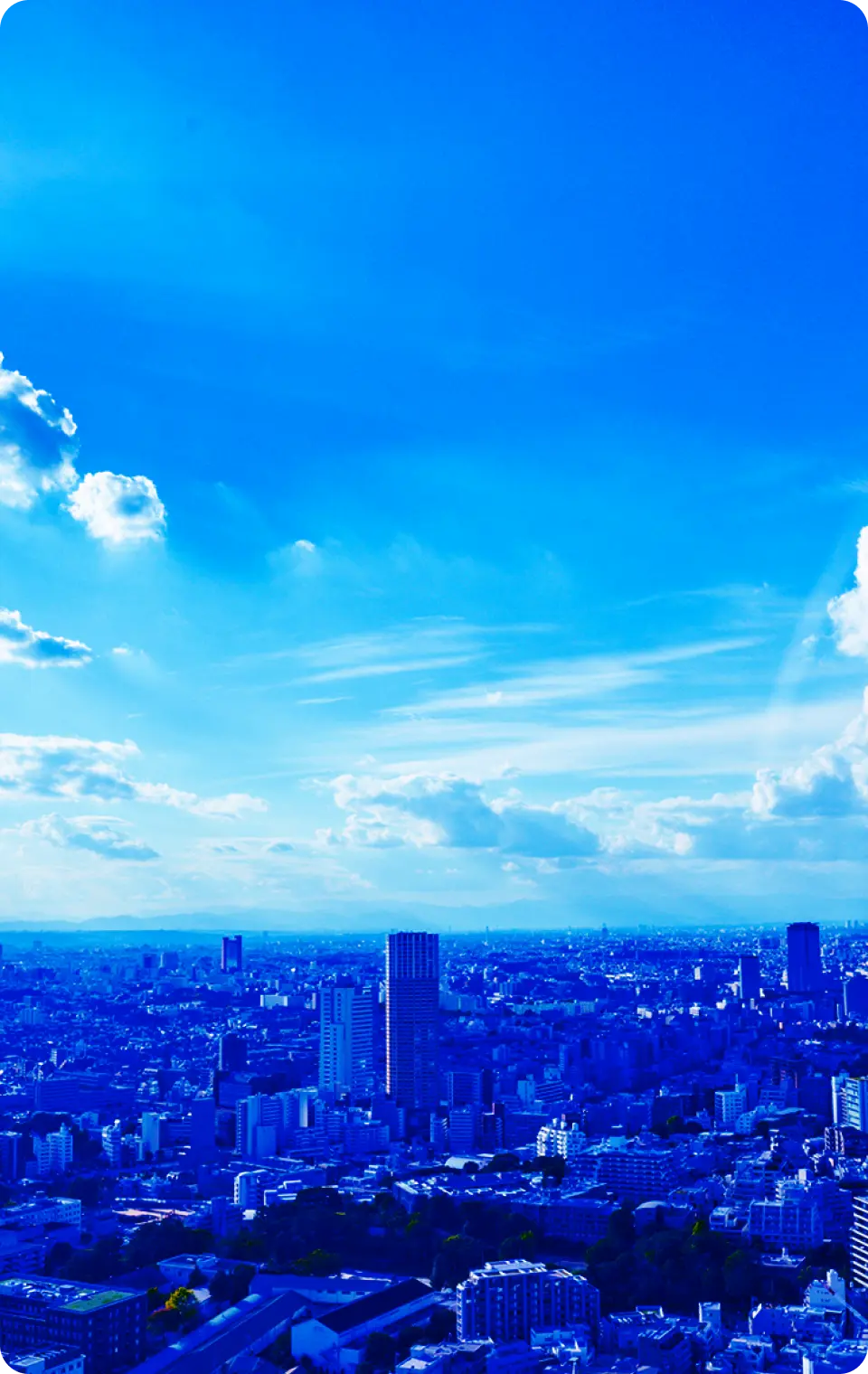 フィンポート会計グループ - 私たちのチーム